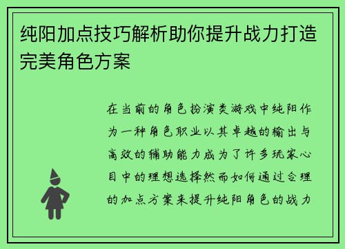 纯阳加点技巧解析助你提升战力打造完美角色方案